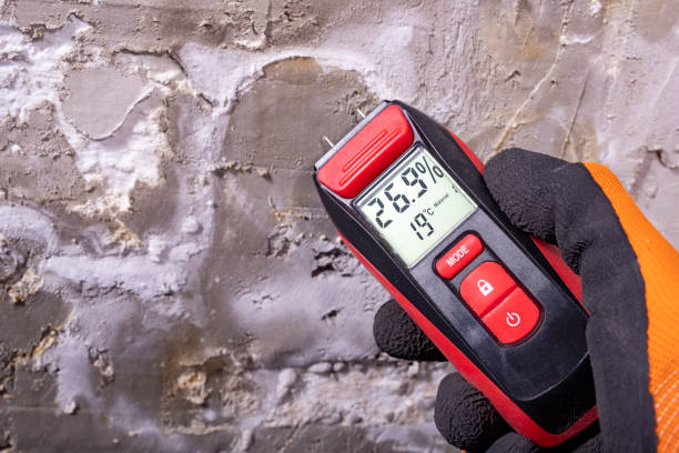 Best Mold Cleaning Services  in Swarthmore, PA