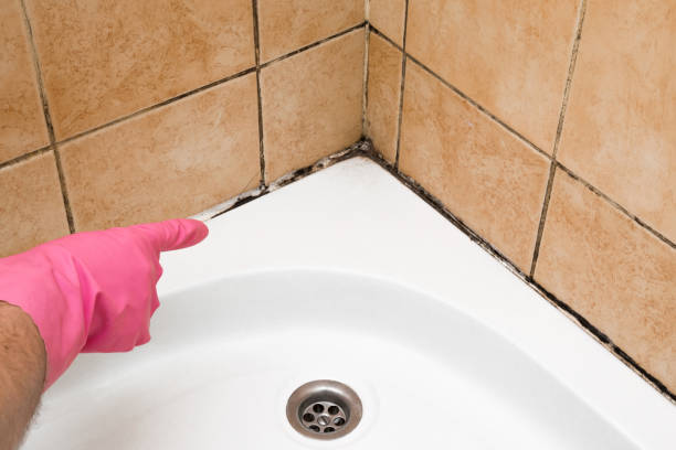 Best Crawl Space Mold Removal  in Swarthmore, PA